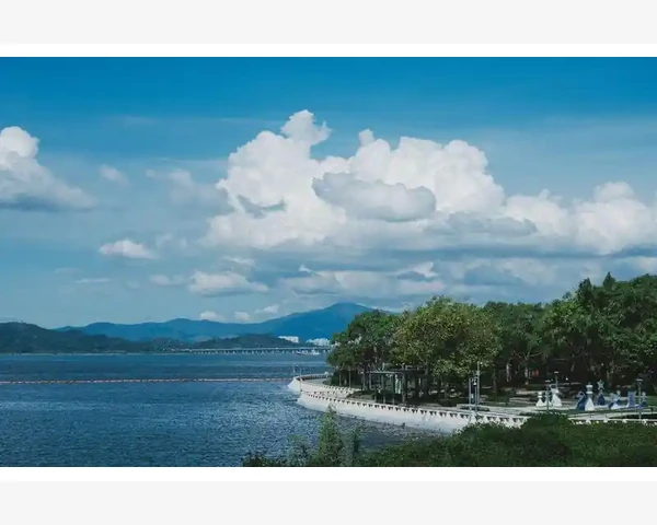 湿气重的根源与调理：中医视角的探索